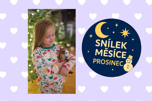 Snílek měsíce PROSINEC